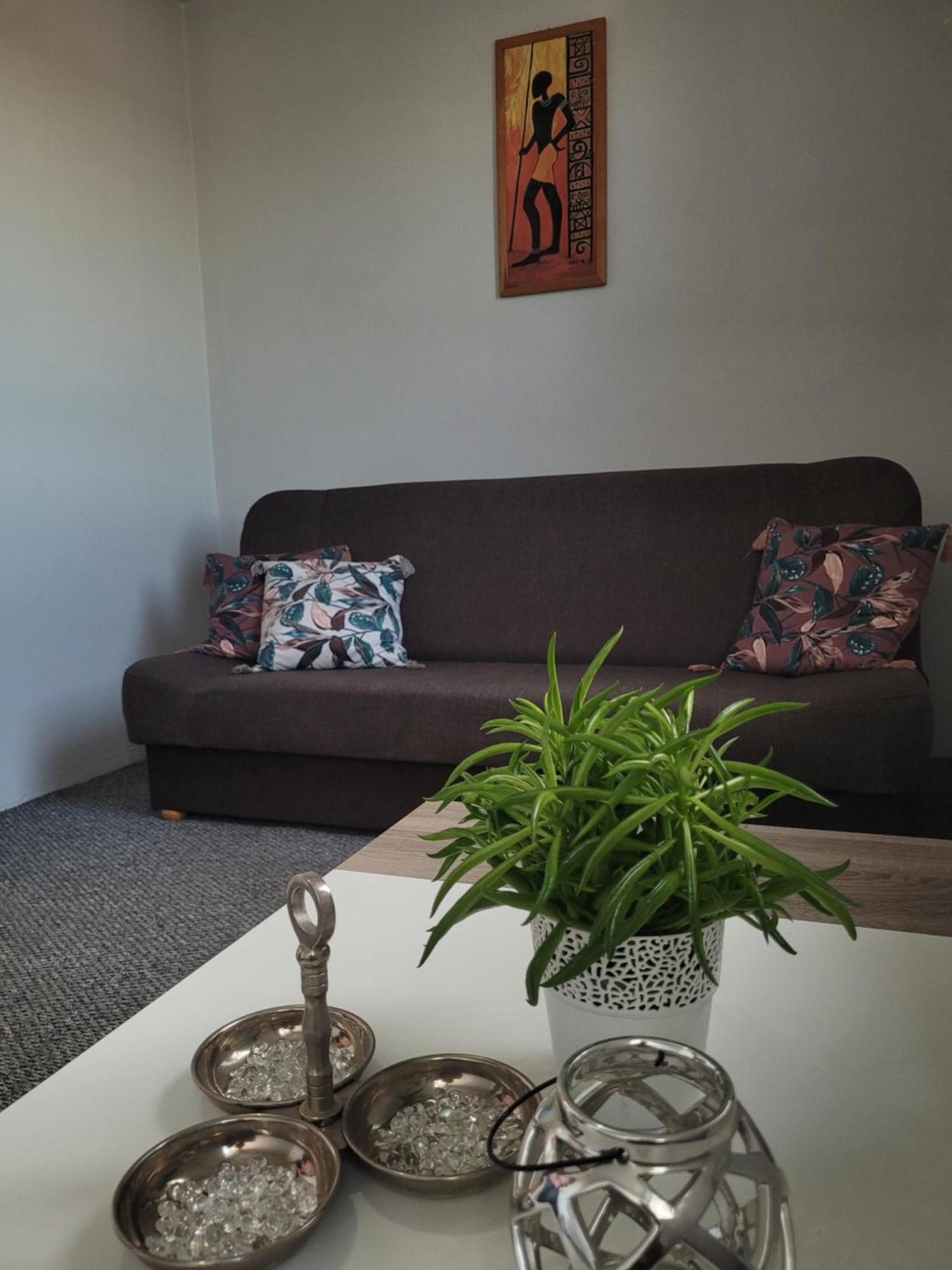 Apartament Zdunska Wloclawek Exterior foto